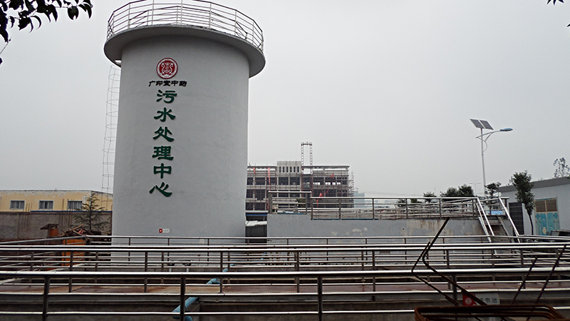 �S�^(q��)�BD