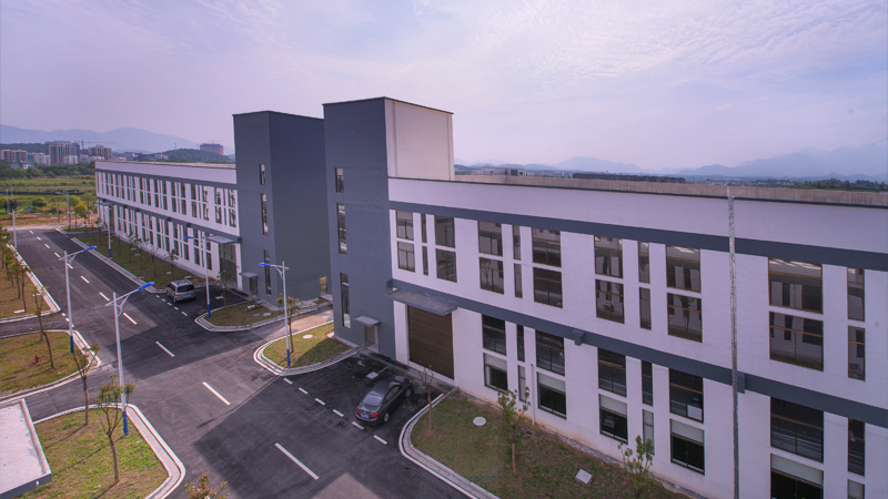 �S�^(q��)�BD